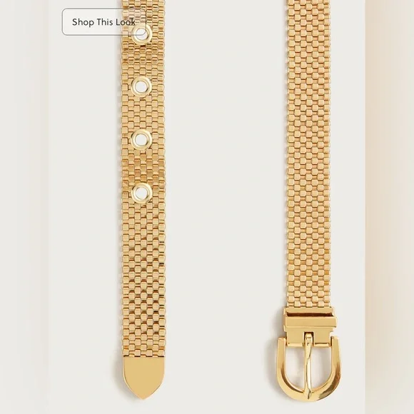J. Crew Gold Watchband chain belt - Picture 2 of 8